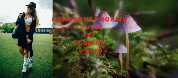 МДПВ Бугульма