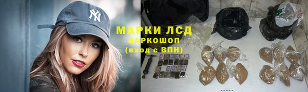сатива Верхний Тагил