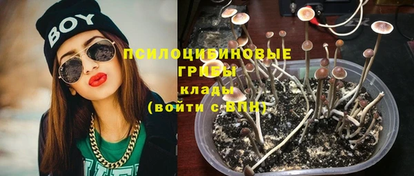 сатива Верхний Тагил